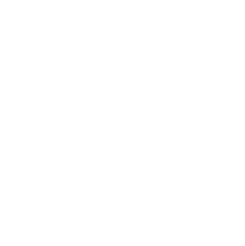 Business Strategy Icon