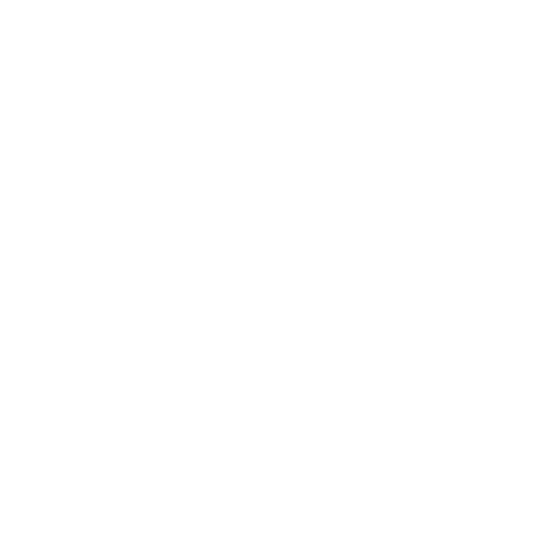 Project Management Icon